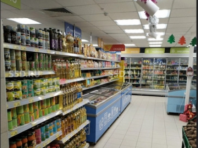 Мо, Дмитровский р-н, р.п. Некрасовский, Мкр. Трудовая 30а -  345.8/Продажа ОСЗ с арендатором Магнит