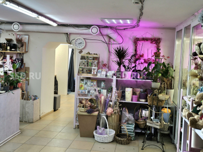 Кривоколенный пер. 9 - 140 кв.м - Продажа / Готовый арендный бизнес / Озон, цветы, ателье