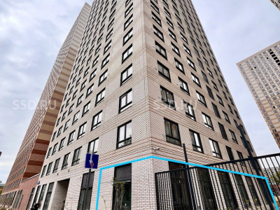 Кронштадтский б-р, д 9 к 3 - 198 м2 / Продажа