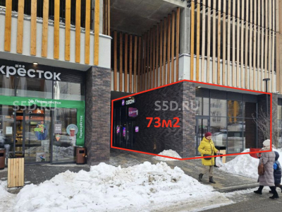 деревня Сапроново, Калиновая улица, 1 - 73 кв.м. - Продажа ГАБ аптека и озон