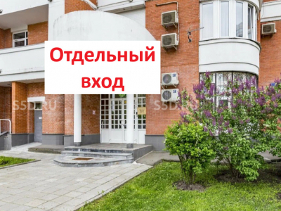 Мичуринский 11 к 1/Продажа ПСН