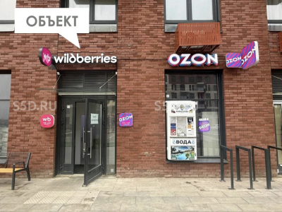 деревня Калиновка, улица Лесных Озёр, 3к1 - 100,8 кв. м. - Продажа / ГАБ / Ozon, Wildberries