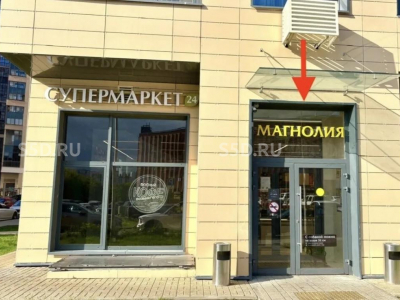 Варшавское шоссе, 170Ек6 - 205 м² - Продажа / ГАБ / Магнолия