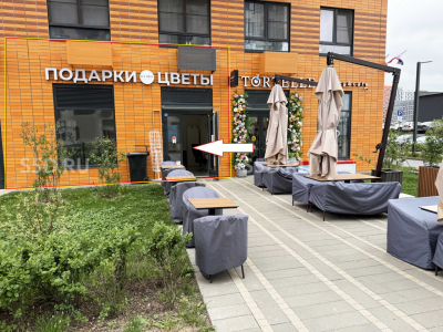 Проспект Магеллана, 29 – 44.4 кв.м – Продажа / Готовый арендный бизнес / Цветы